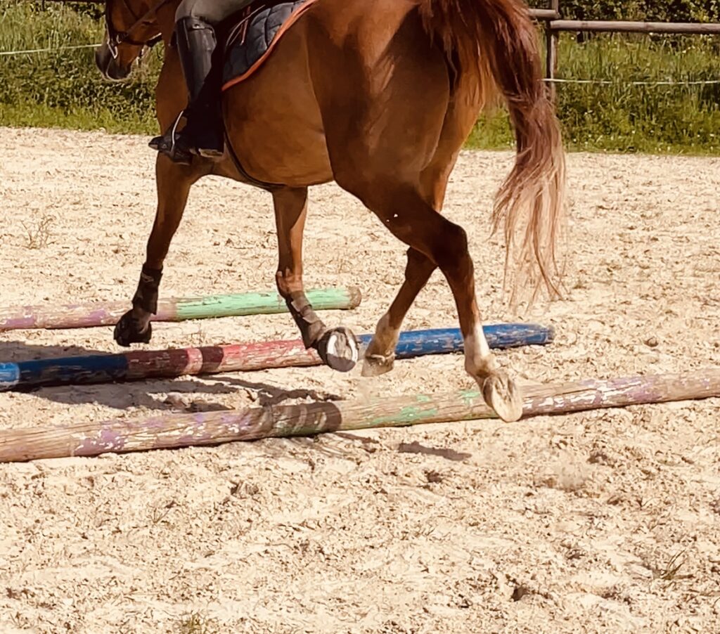 Élève à cheval en cours d’équitation à l’Écurie des Rouges dans l’Yonne